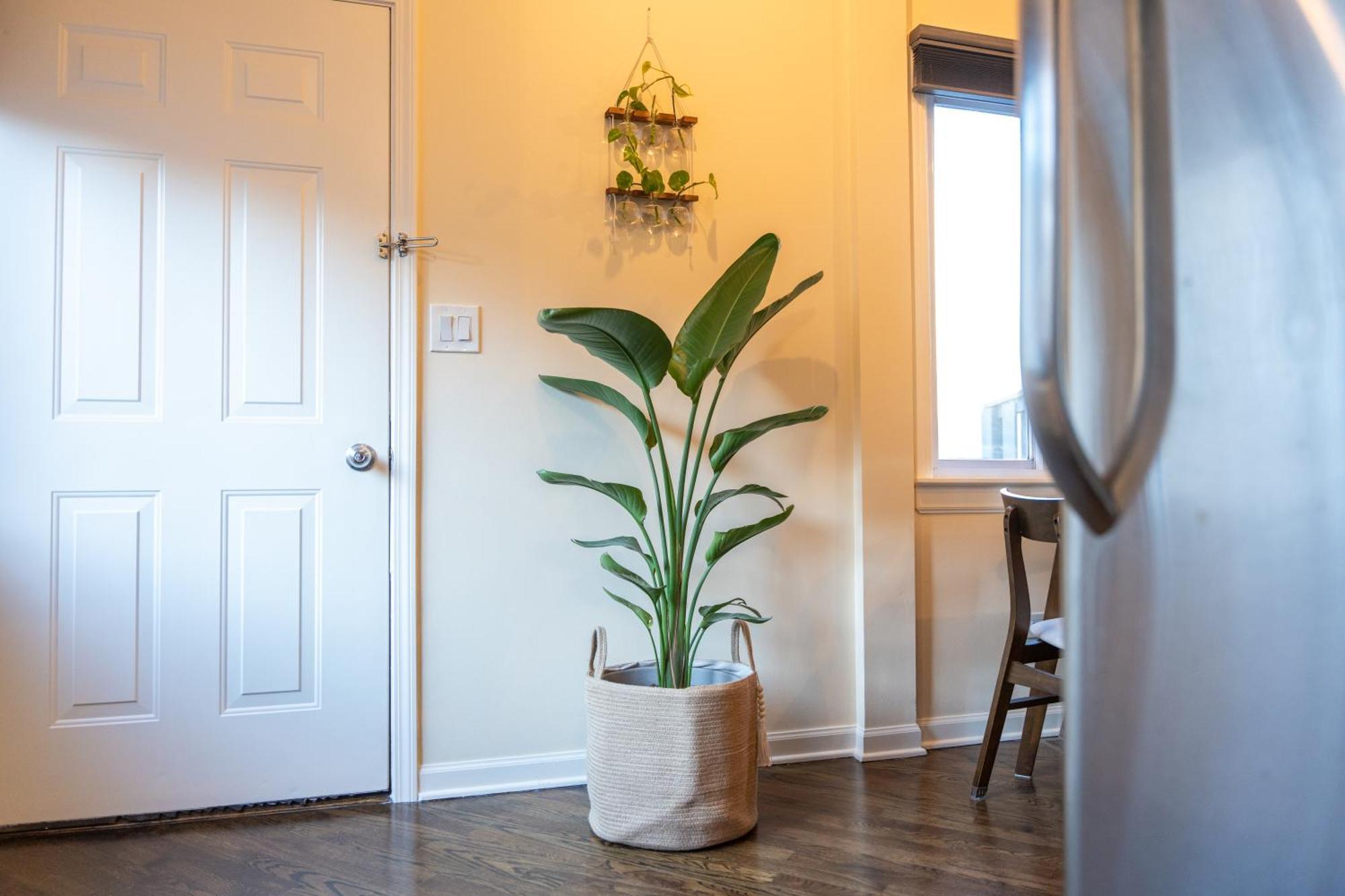 Bucktown Private Condo Chicago Ngoại thất bức ảnh
